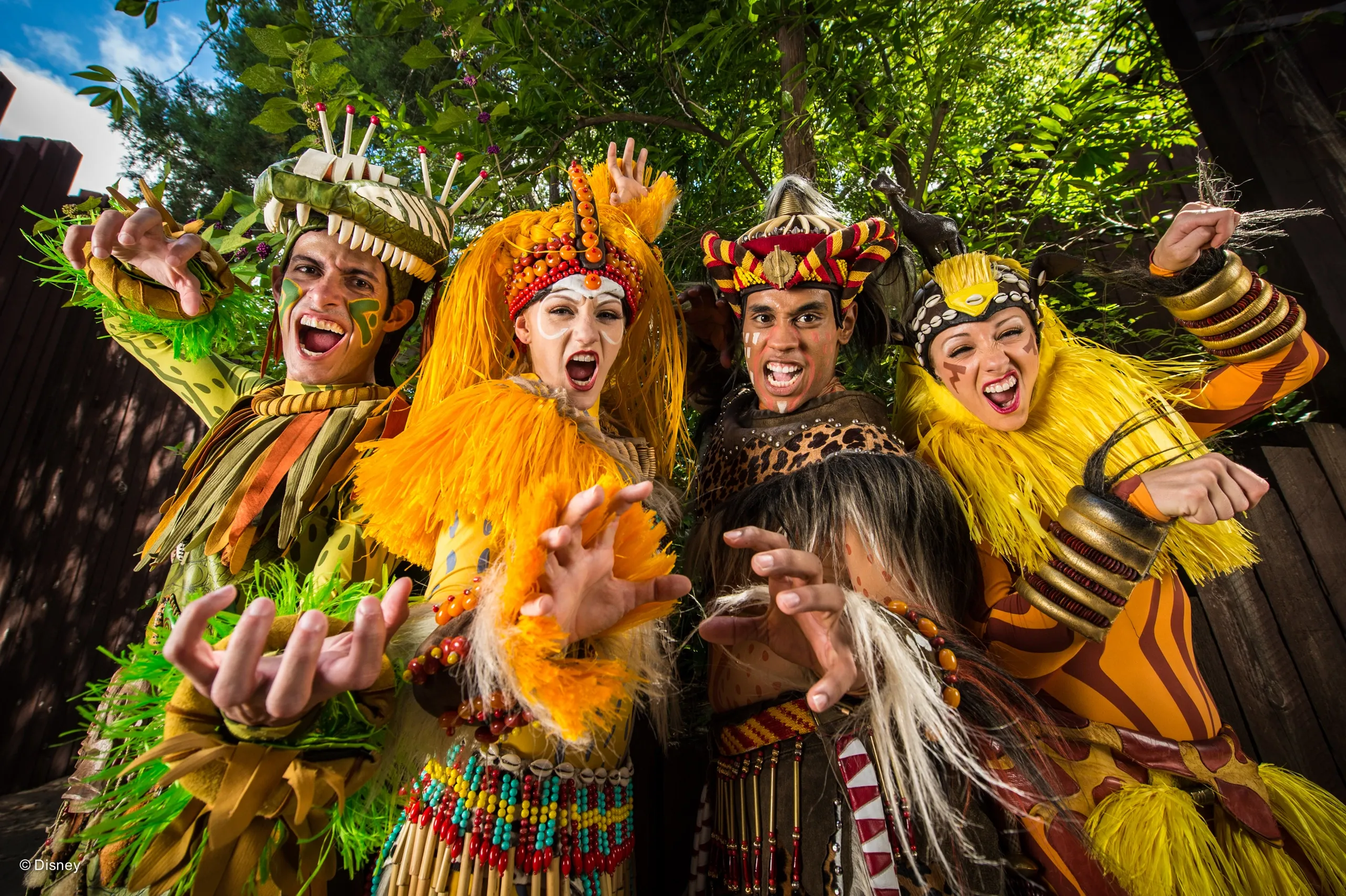 Shows no Animal Kingdom