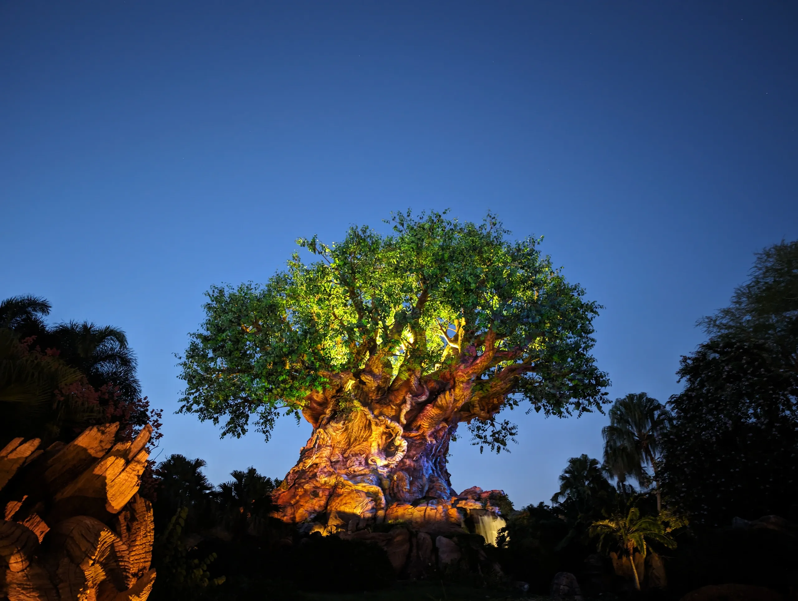 Tree of Life