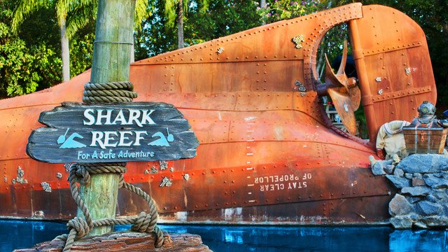 Shark Reef