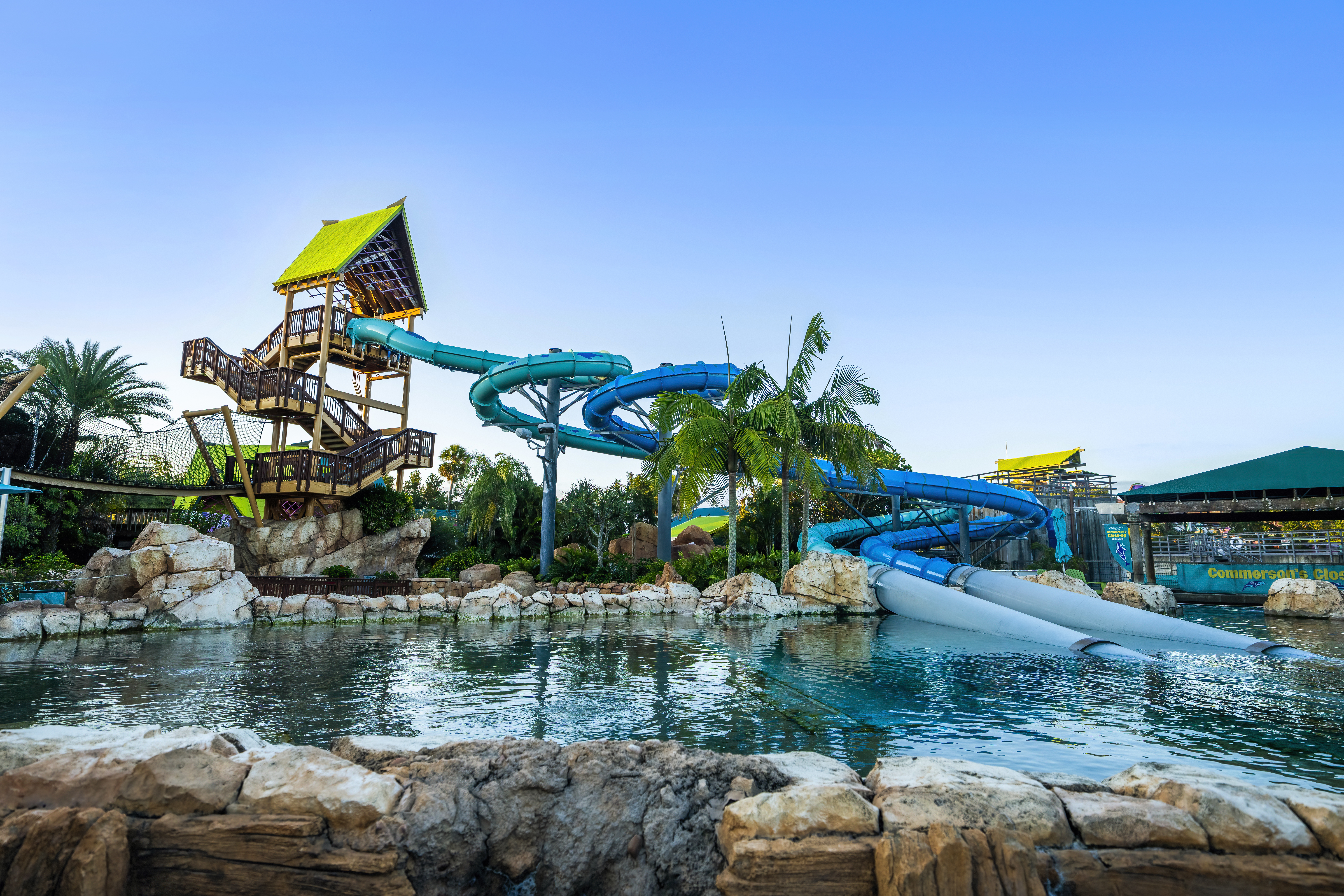 Reef Plunge