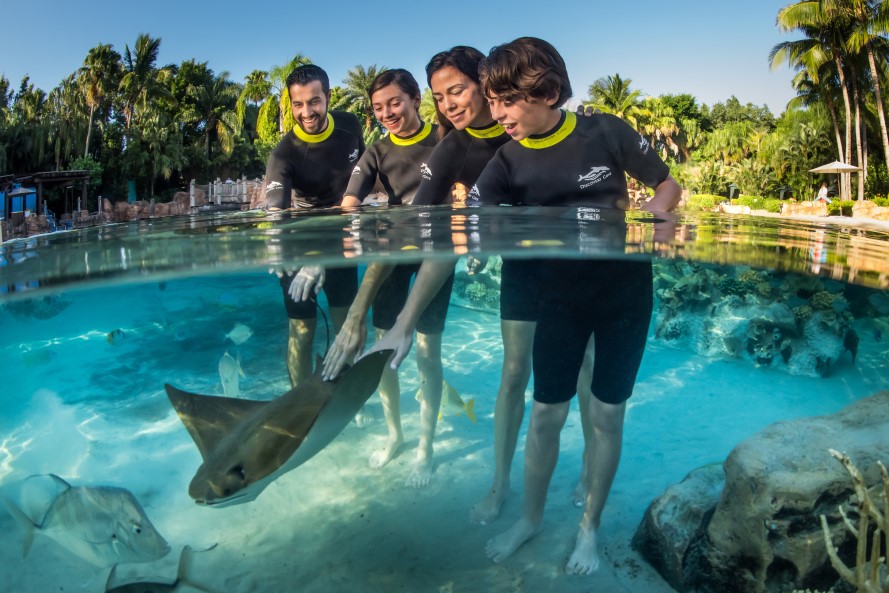 Família no Discovery Cove