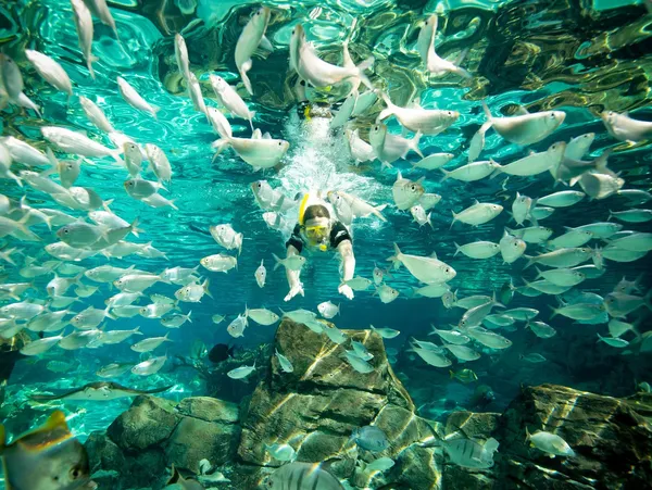Natureza no Discovery Cove