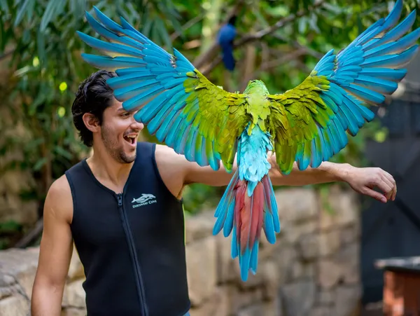 Atividades no Discovery Cove