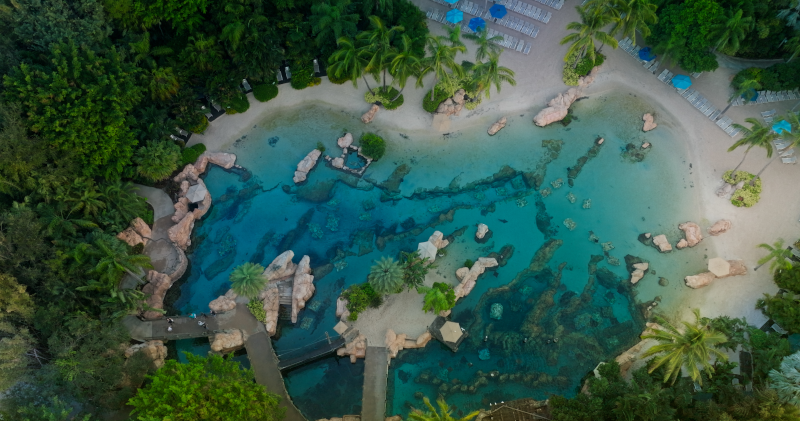 Paraíso Tropical Discovery Cove