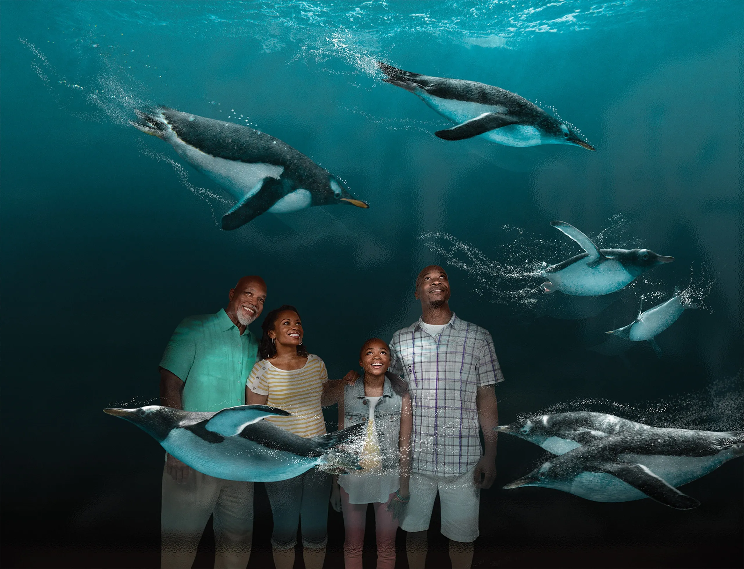 Explore o Parque
